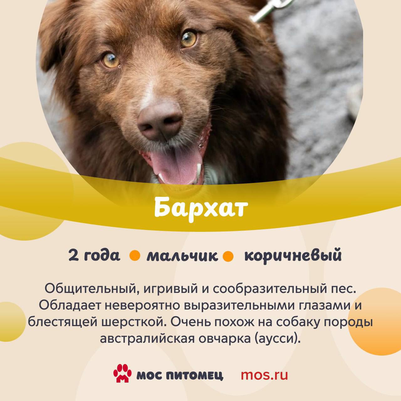 В столице холодает, но мы знаем, что может мгновенно растопить лед В столице холодает, но мы знаем, что может мгновенно растопить лед