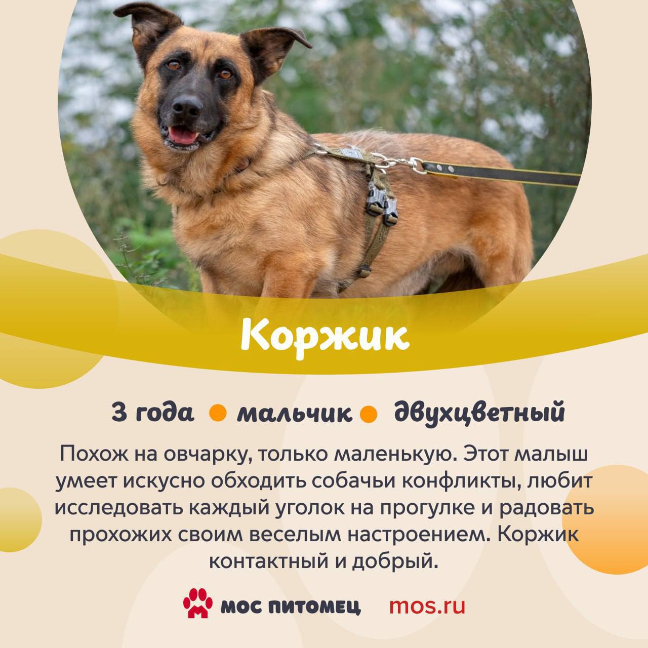 В столице холодает, но мы знаем, что может мгновенно растопить лед В столице холодает, но мы знаем, что может мгновенно растопить лед