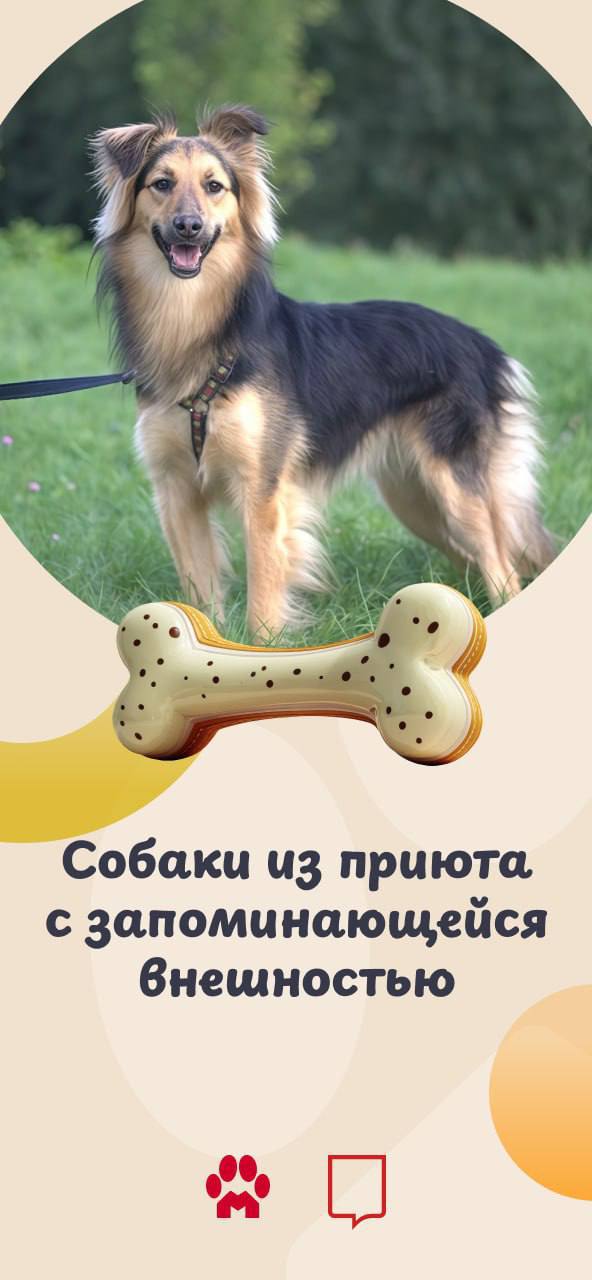 В столице холодает, но мы знаем, что может мгновенно растопить лед