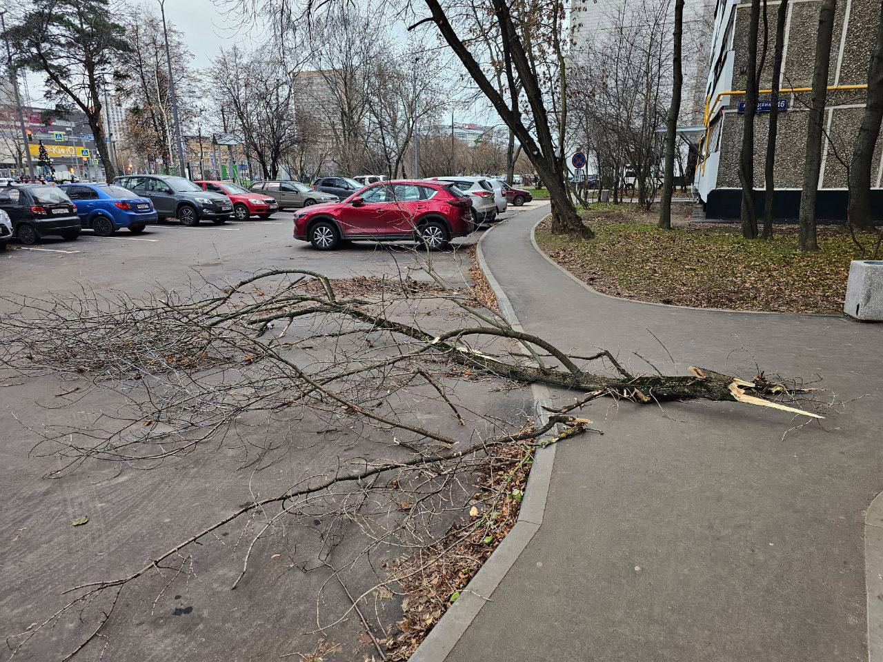 В Москве сильный ветер, предупреждают власти В Москве сильный ветер, предупреждают власти