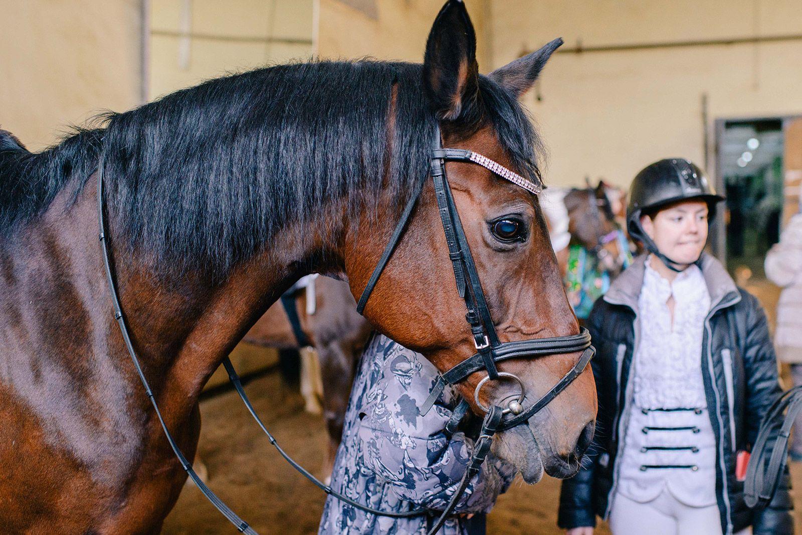 Столичные НКО помогают ветеранам СВО и их семьям Столичные НКО помогают ветеранам СВО и их семьям