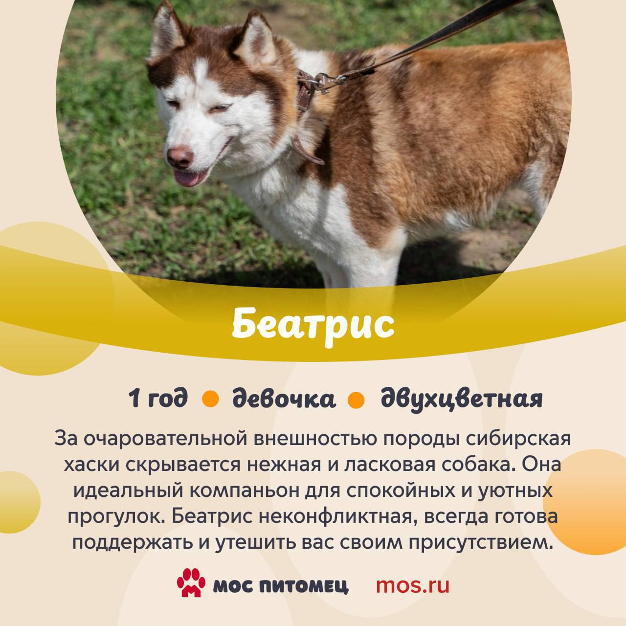 В столице холодает, но мы знаем, что может мгновенно растопить лед В столице холодает, но мы знаем, что может мгновенно растопить лед