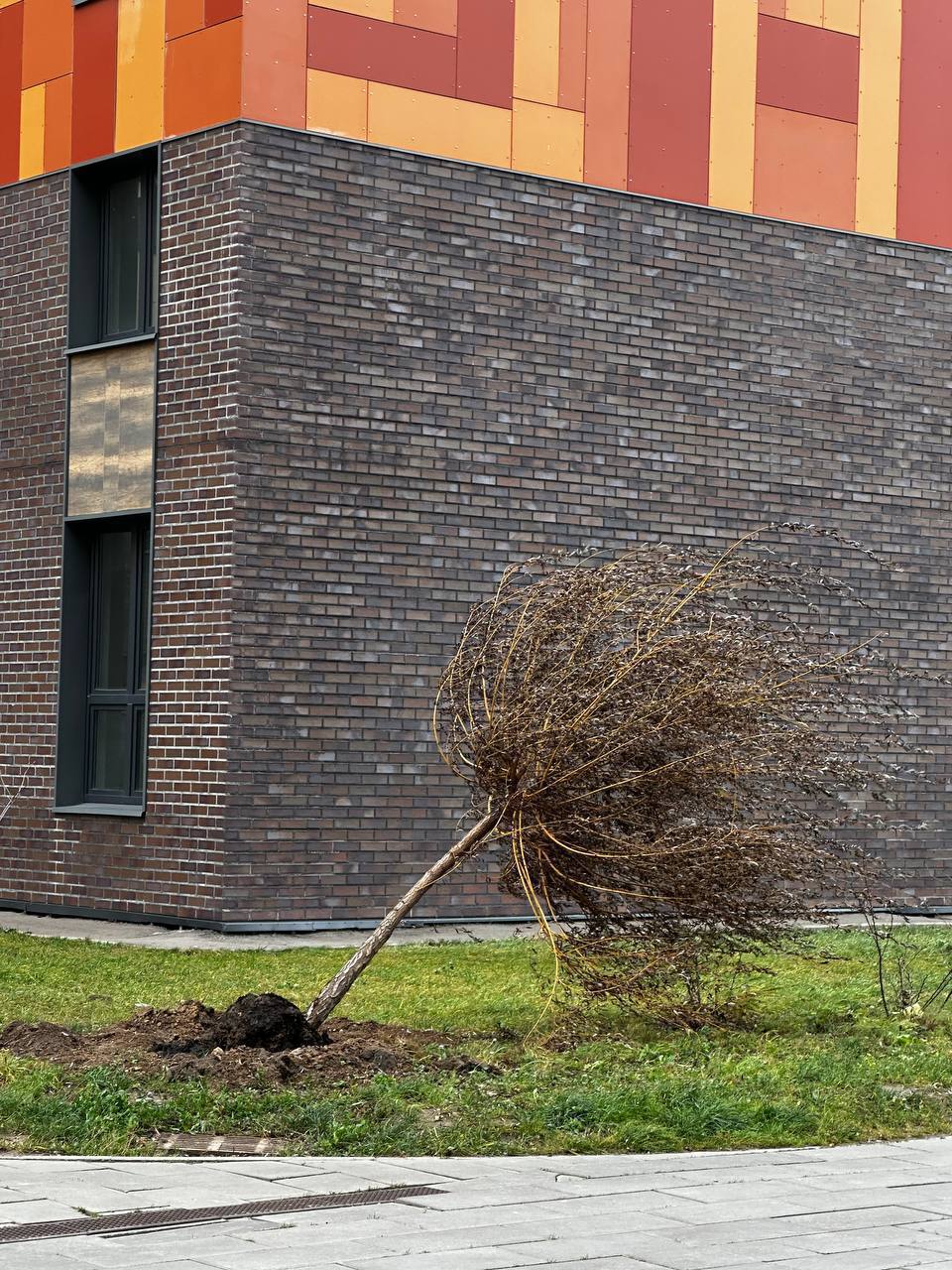 В Москве сильный ветер, предупреждают власти В Москве сильный ветер, предупреждают власти