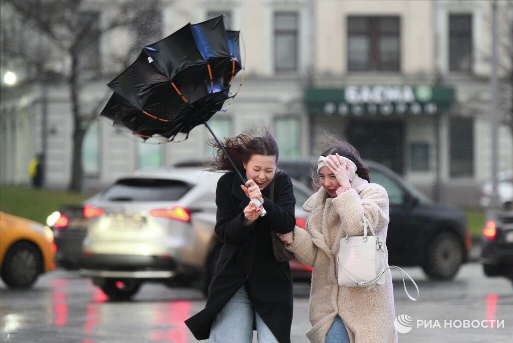 Порывы ветра в Москве утром в пятницу достигли штормовых показателей
