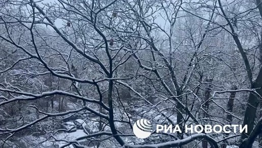 Первый снег выпал в Москве в субботу