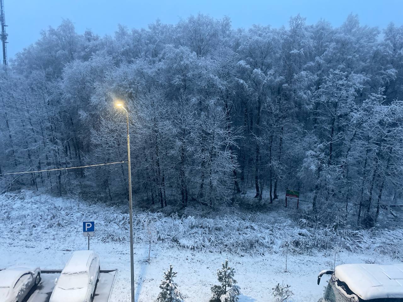 Первый снег пришел Москву с опозданием на месяц: Первый снег пришел Москву с опозданием на месяц:
