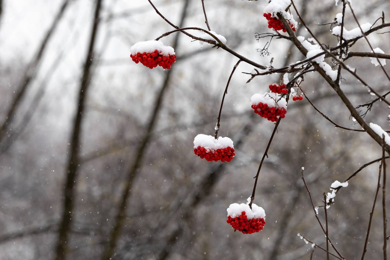 Делимся моментами этого красивого снежного дня Делимся моментами этого красивого снежного дня