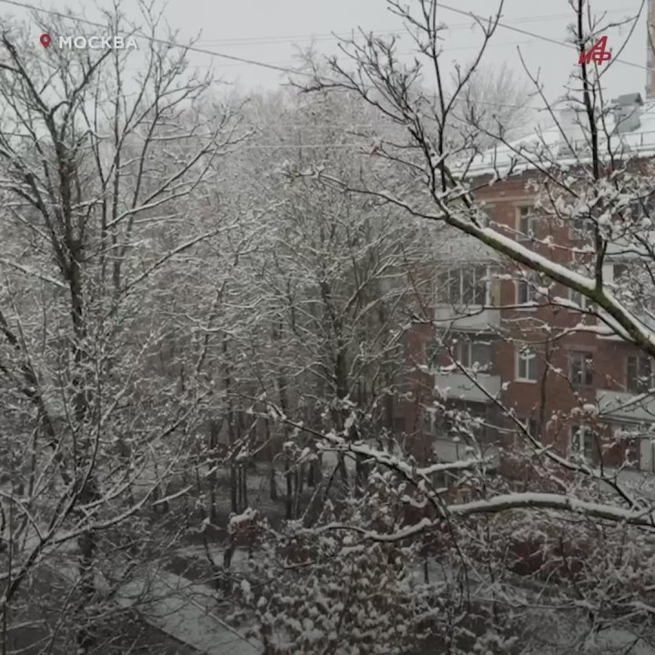 Москву завалило снегом. Синоптик Тишковец рассказал, какие сюрпризы готовит ноябрь