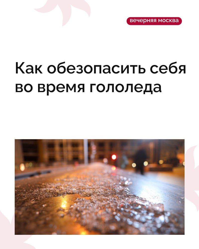 Первые заморозки уже не за горами, а вместе с ними и скрытая опасность под ногами
