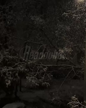 Зима официально в Москве — в столице выпал первый снег