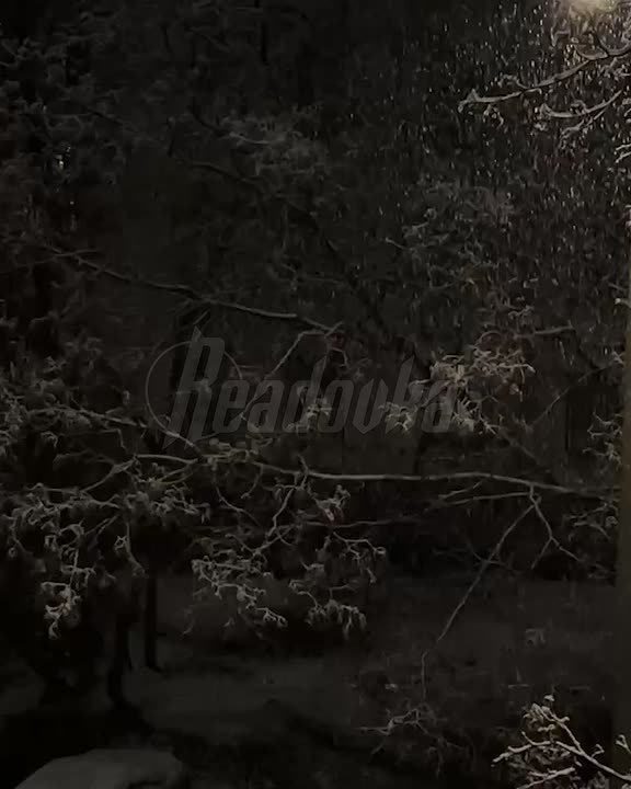 Зима официально в Москве — в столице выпал первый снег