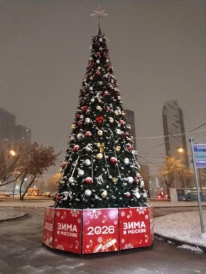 Не все ждали, но это случилось: Москву и Санкт-Петербург накрыл первый снег