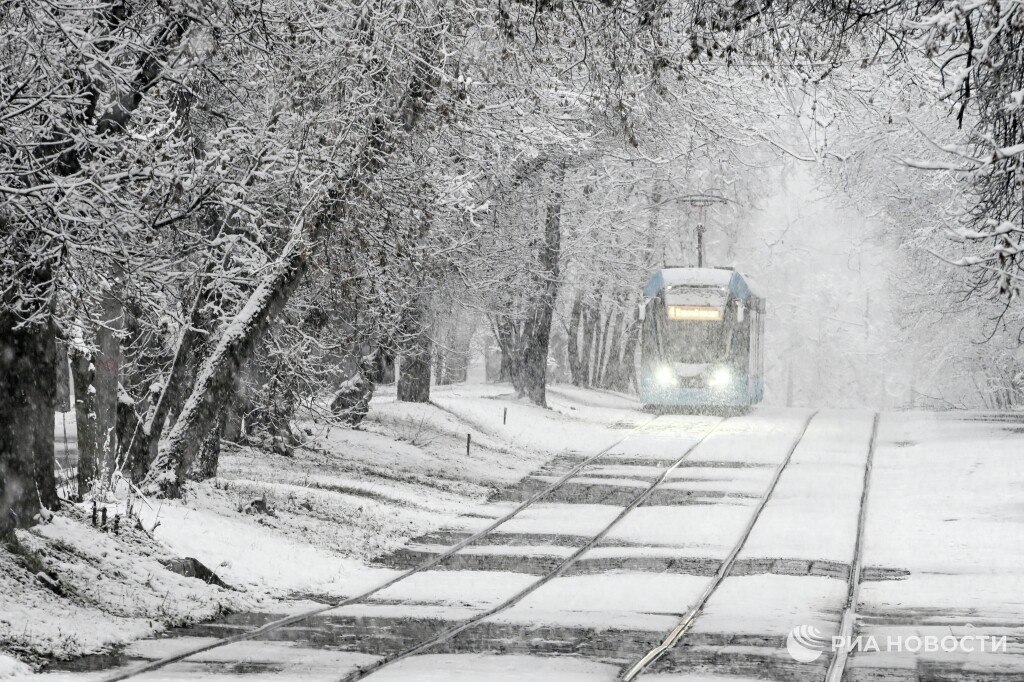 Около трети от месячной нормы осадков выпало в ночь на субботу в Москве, таких осадков 15 ноября не было более 75 лет