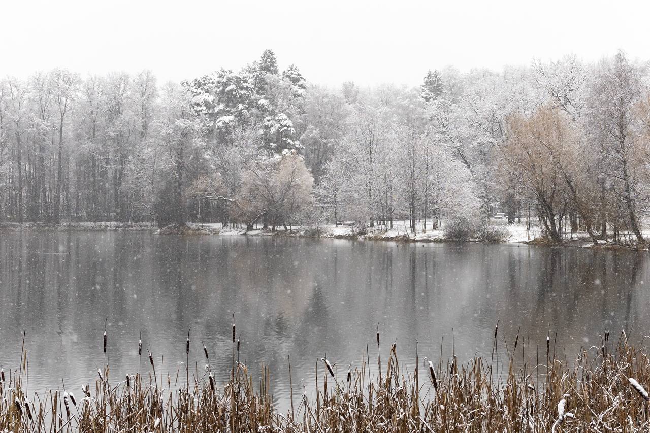 Делимся моментами этого красивого снежного дня Делимся моментами этого красивого снежного дня