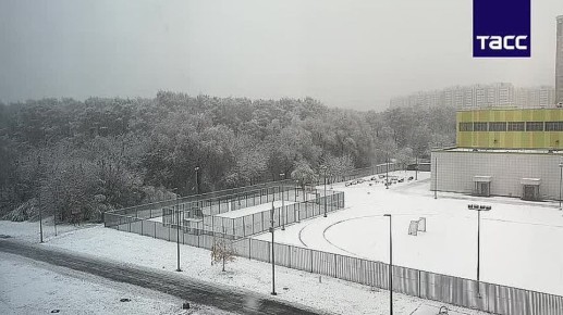 Первый снег выпал в Москве с опозданием почти на месяц