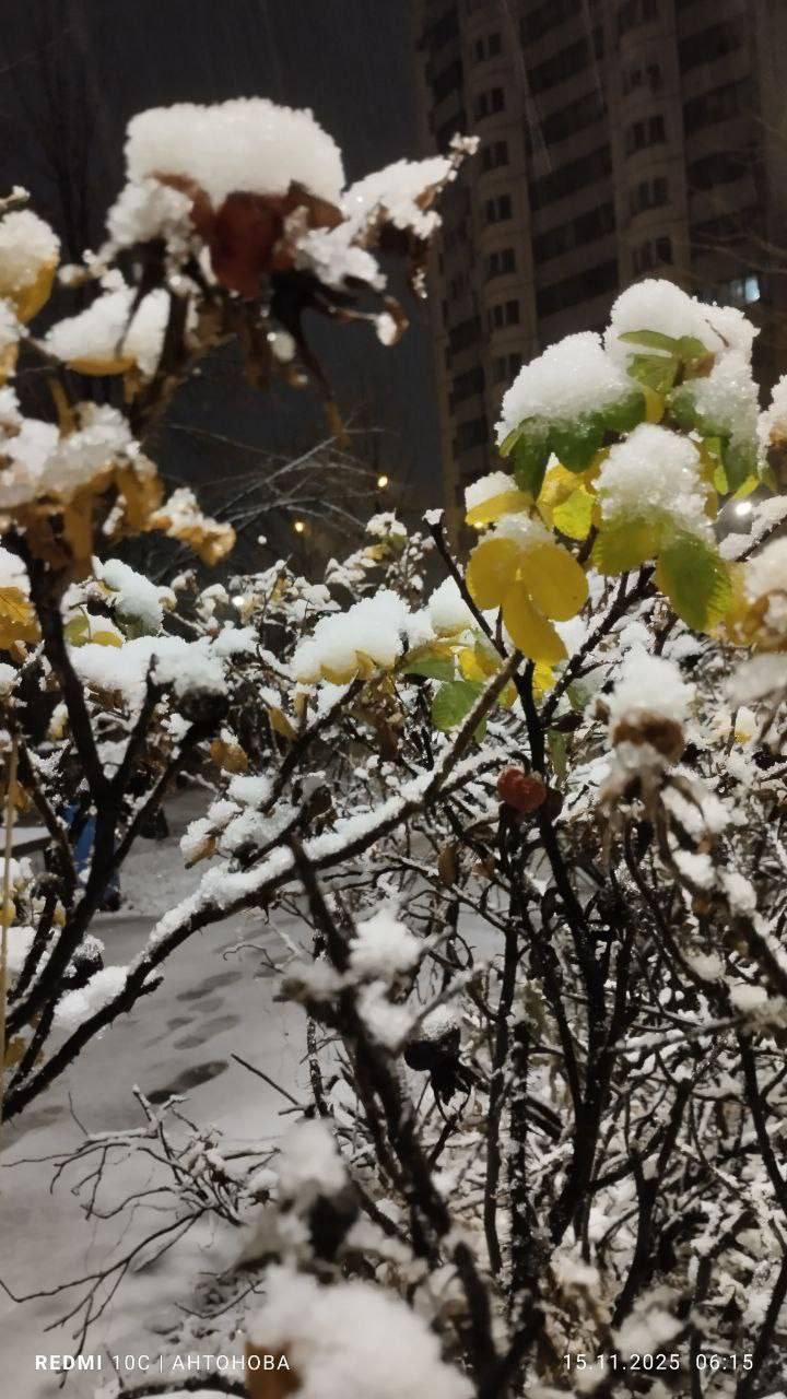 Первый снег пришел Москву с опозданием на месяц: