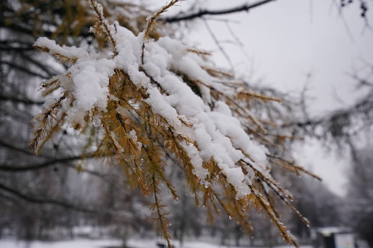 Делимся моментами этого красивого снежного дня Делимся моментами этого красивого снежного дня