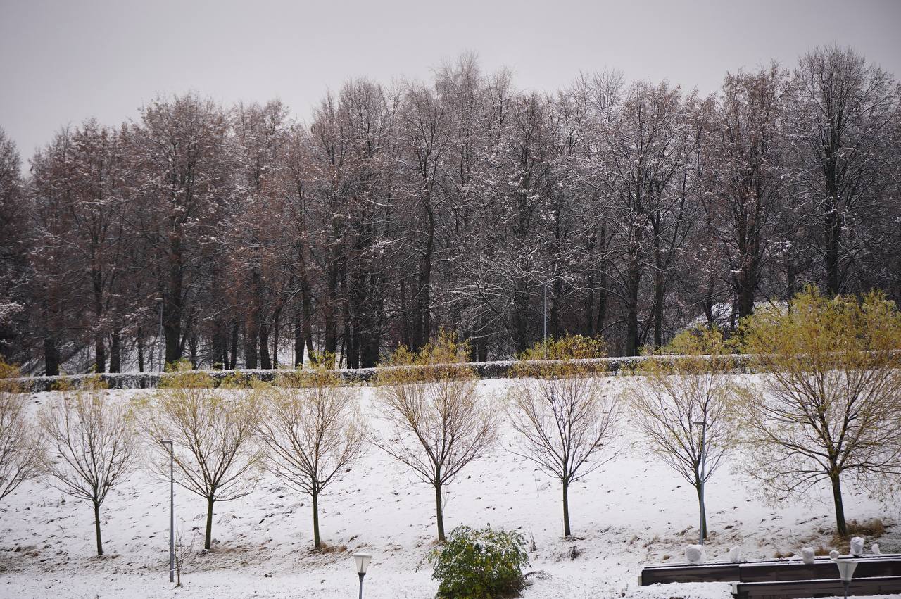 Делимся моментами этого красивого снежного дня Делимся моментами этого красивого снежного дня