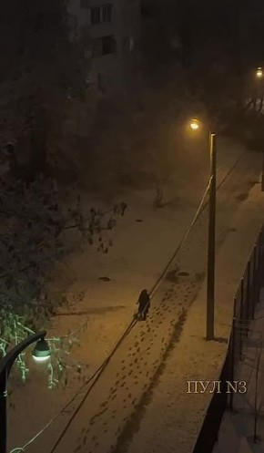 Первый снегопад накрыл сегодня ночью Москву и Петербург: