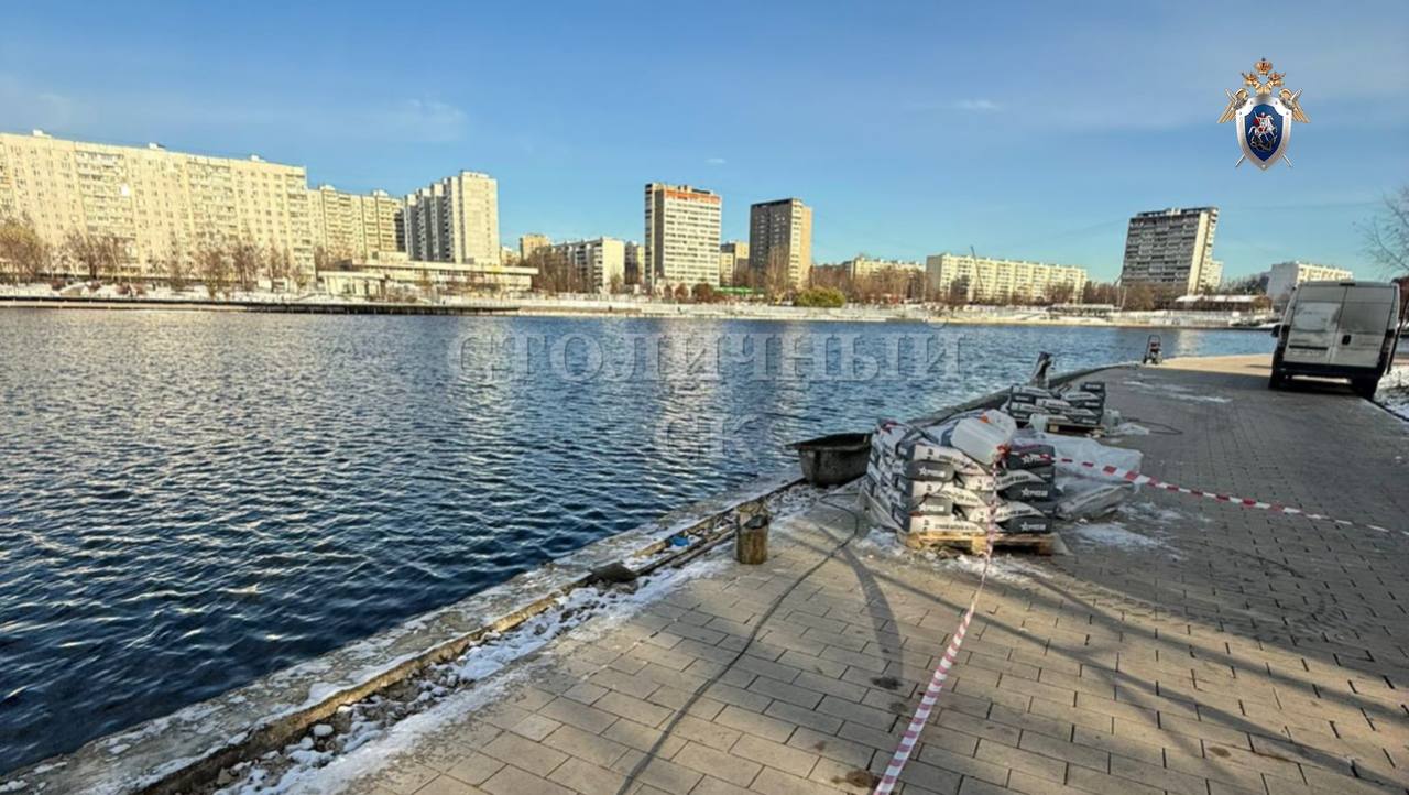 Часть тела ребенка 7-10 лет нашли в Гольяновском пруду в Москве