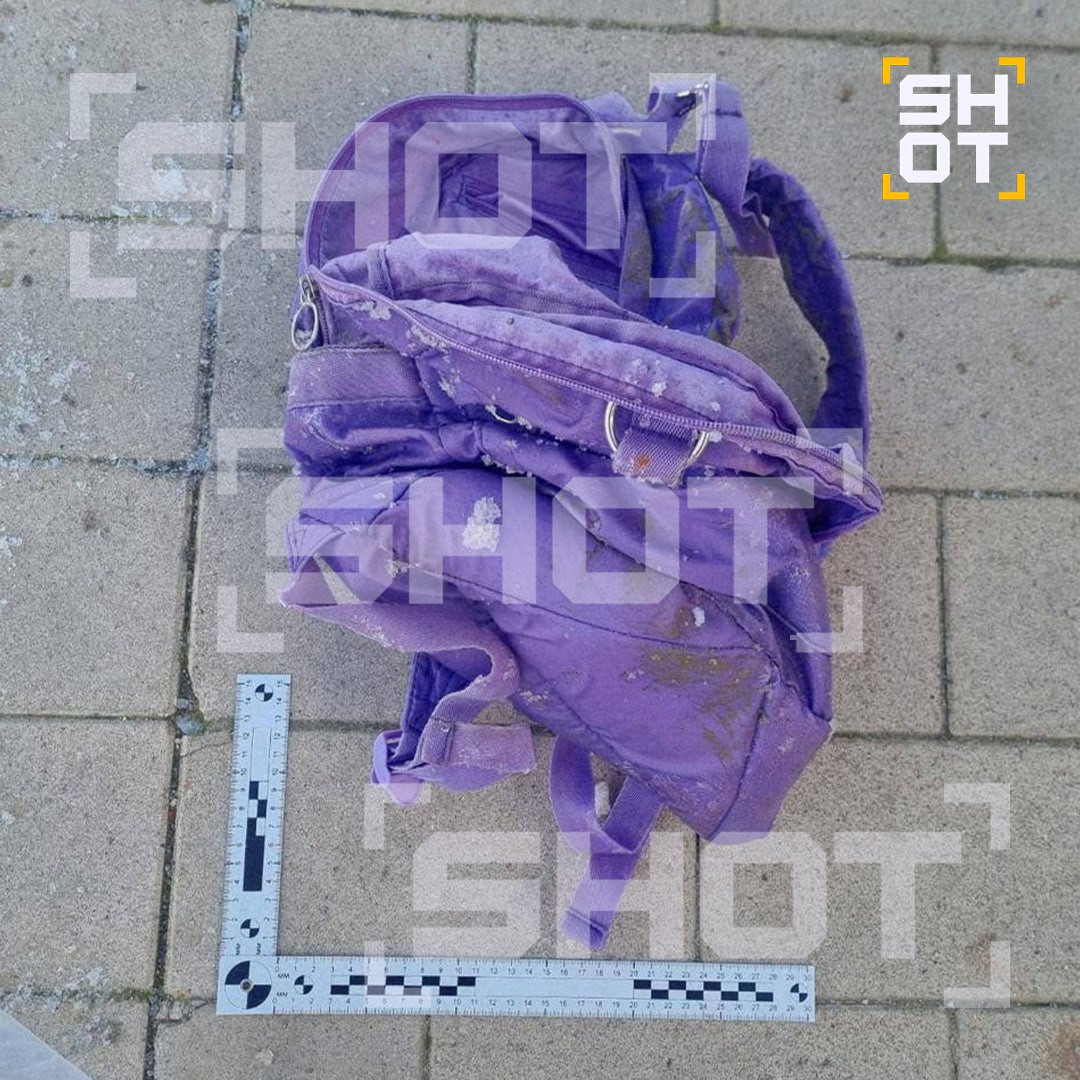 В рюкзаке, который нашли возле пруда в Москве, были обнаружены останки школьника со светлыми волосами