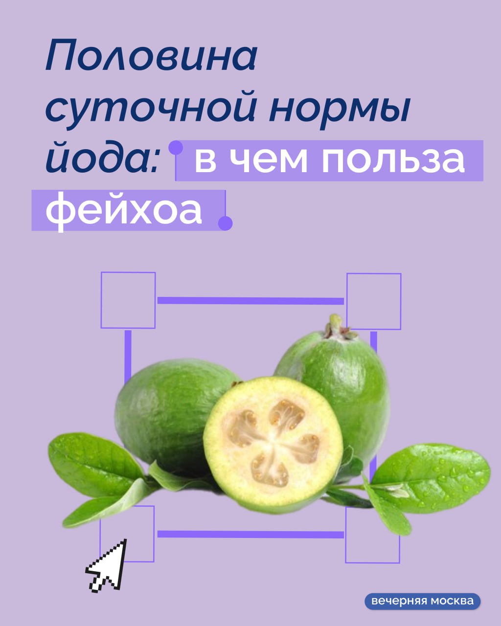 В конце ноября на рынках появляется та самая зеленая ягода, за которой охотятся ценители здорового питания