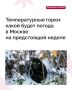 Не успели насладиться первым снегом, как погода решила сменить настроение