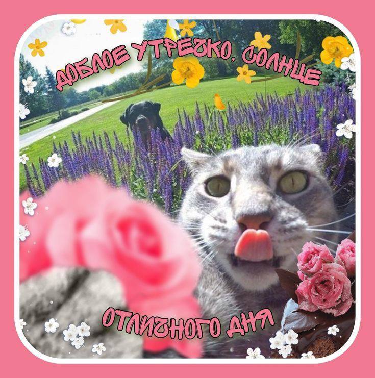 Доброе утро, Москва!. Воскресенье — день, когда можно не спешить и делать только то, что действительно хочется