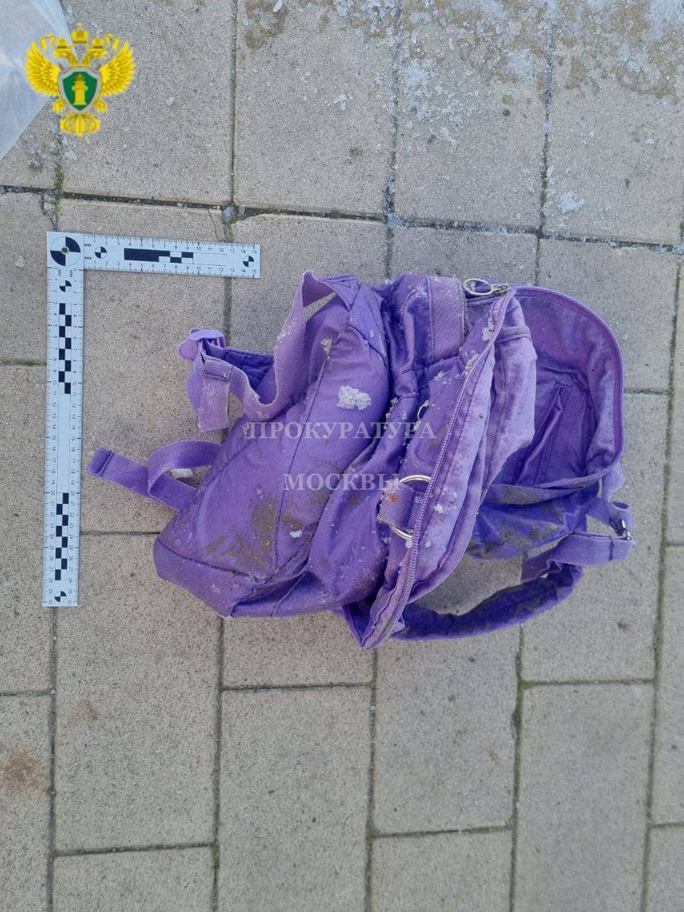 Обезглавленное тело ребёнка нашли в Балашихе, сообщают СМИ