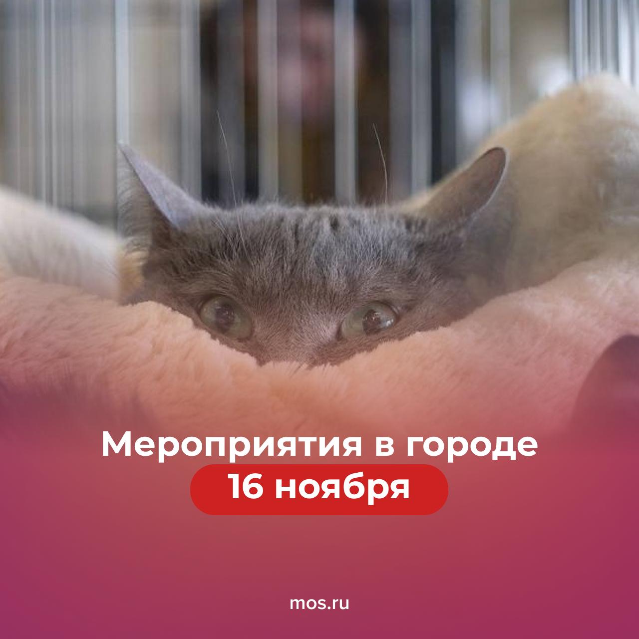 Читайте в нашем дайджесте, чем заняться сегодня!