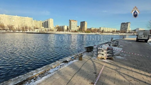 По факту обнаружения фрагмента тела на востоке Москвы возбуждено уголовное дело