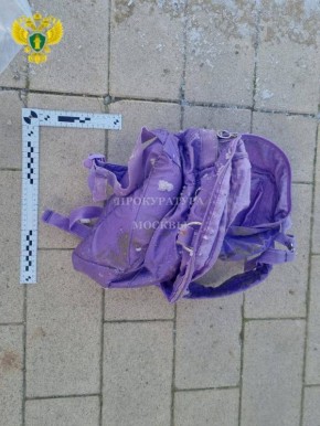 Водолазы завершили обследование пруда, где нашли останки ребенка