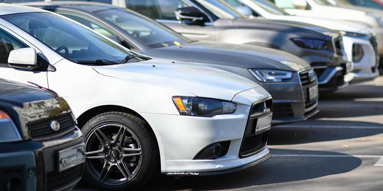 С приближением первых холодов бездомные животные начинают искать теплые убежища