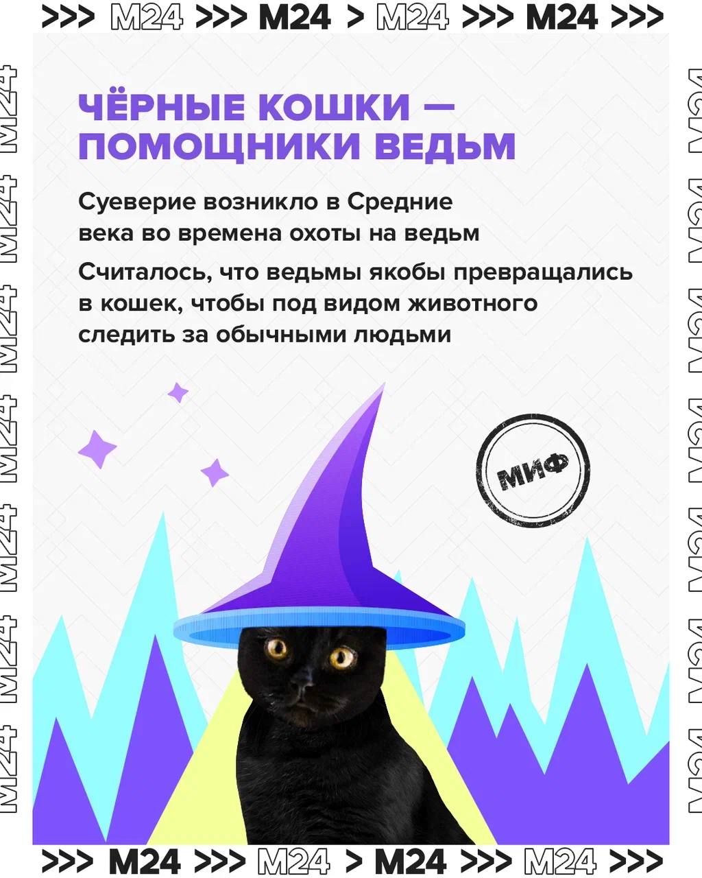 Чёрные кошки незаслуженно стали символом мистических событий Чёрные кошки незаслуженно стали символом мистических событий