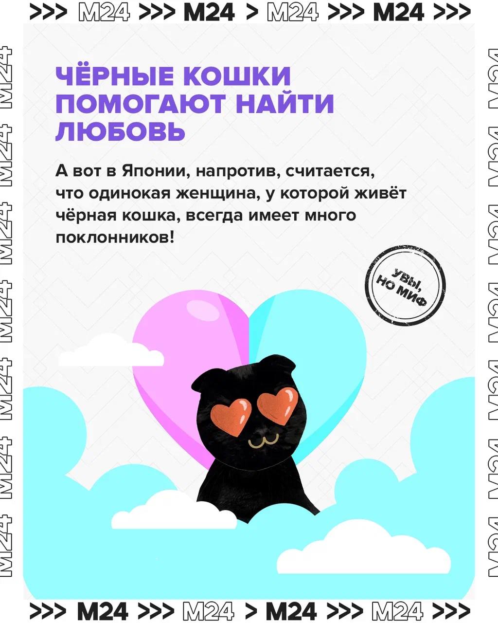 Чёрные кошки незаслуженно стали символом мистических событий Чёрные кошки незаслуженно стали символом мистических событий