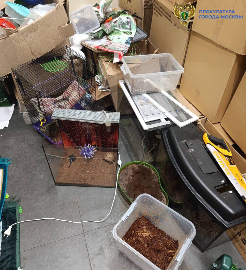 В Москве мужчина незаконно устроил выставку животных, занесенных в Красную книгу России, сообщает прокуратура города В Москве мужчина незаконно устроил выставку животных, занесенных в Красную книгу России, сообщает прокуратура города