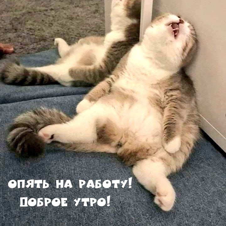 Доброе утро, Москва!. Понедельник снова с нами — время начинать новую неделю, настраиваться на рабочий ритм и планировать дела