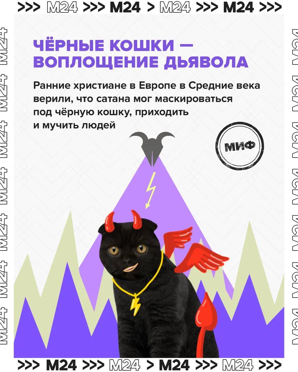 Чёрные кошки незаслуженно стали символом мистических событий Чёрные кошки незаслуженно стали символом мистических событий