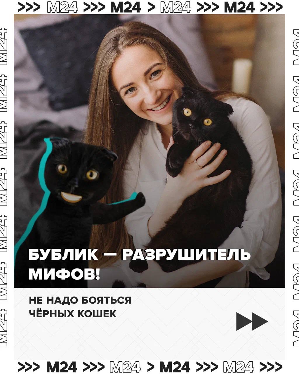 Чёрные кошки незаслуженно стали символом мистических событий