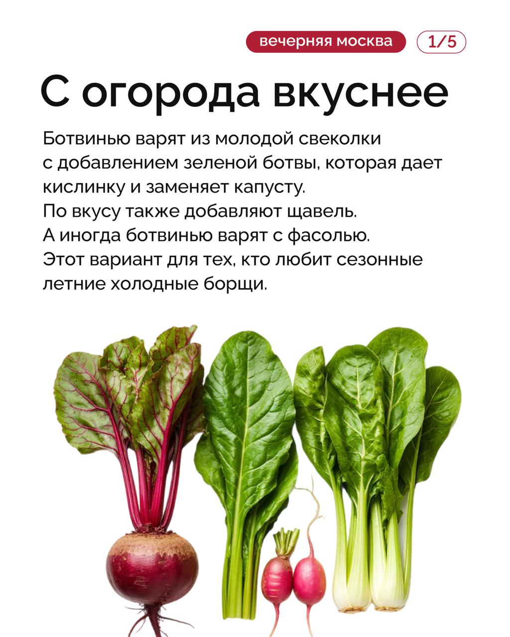 Борщ в русской кухне не просто суп, а целый гастрономический полет фантазии Борщ в русской кухне не просто суп, а целый гастрономический полет фантазии