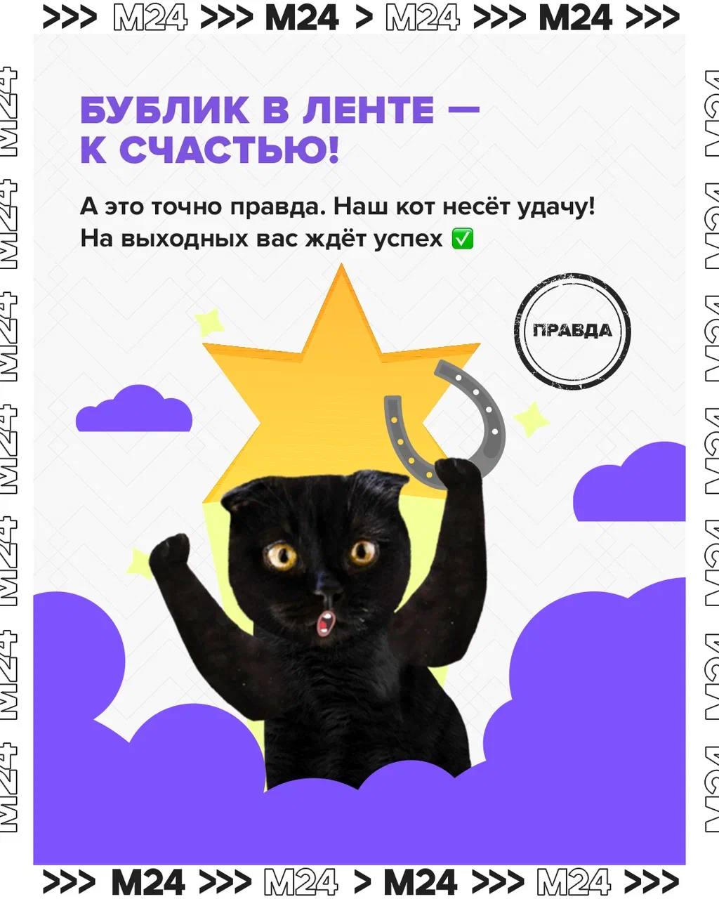 Чёрные кошки незаслуженно стали символом мистических событий Чёрные кошки незаслуженно стали символом мистических событий