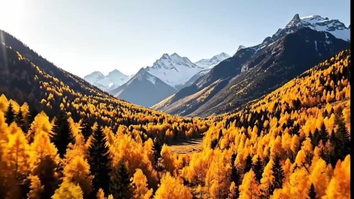 ПОДЪЁМ!. "Мы выиграли гран-при в фестивале пограничной песни позавчера в Москве с этой песней и клипом." Два майора