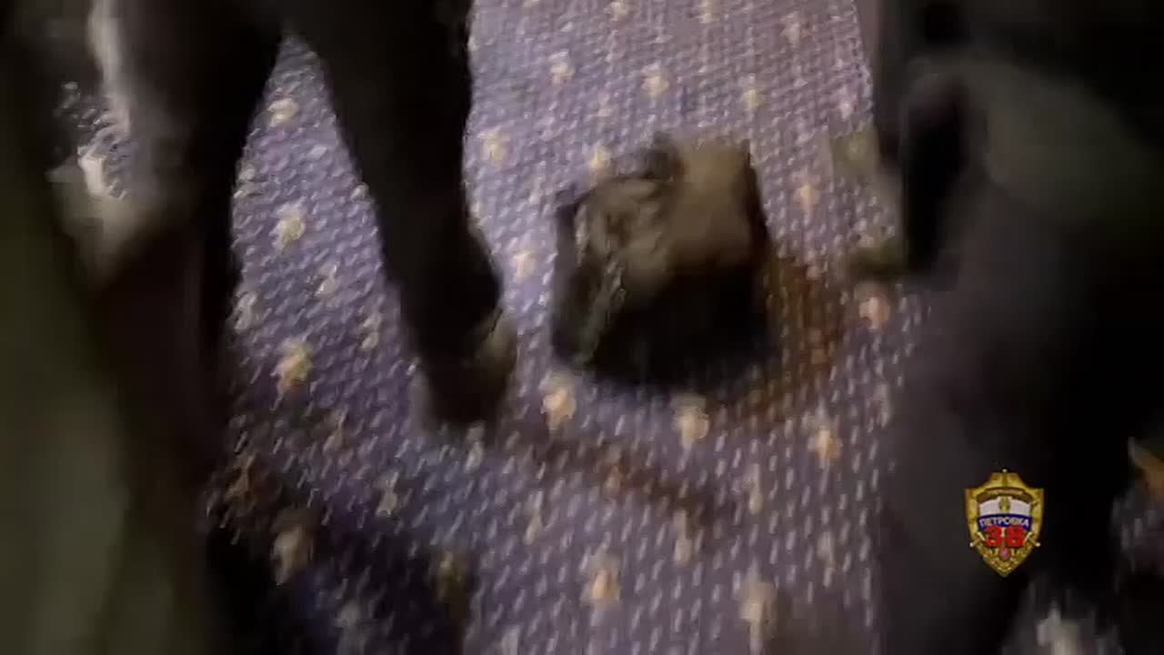 Столичные полицейские выявили в подвале дома в Кутузовском проезде притон для занятия проституцией