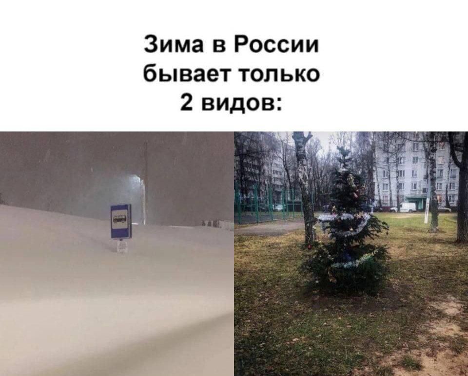 ���������� �� 250 ��� ������ ���� ����� �� �����, ������ RT ����� ��������