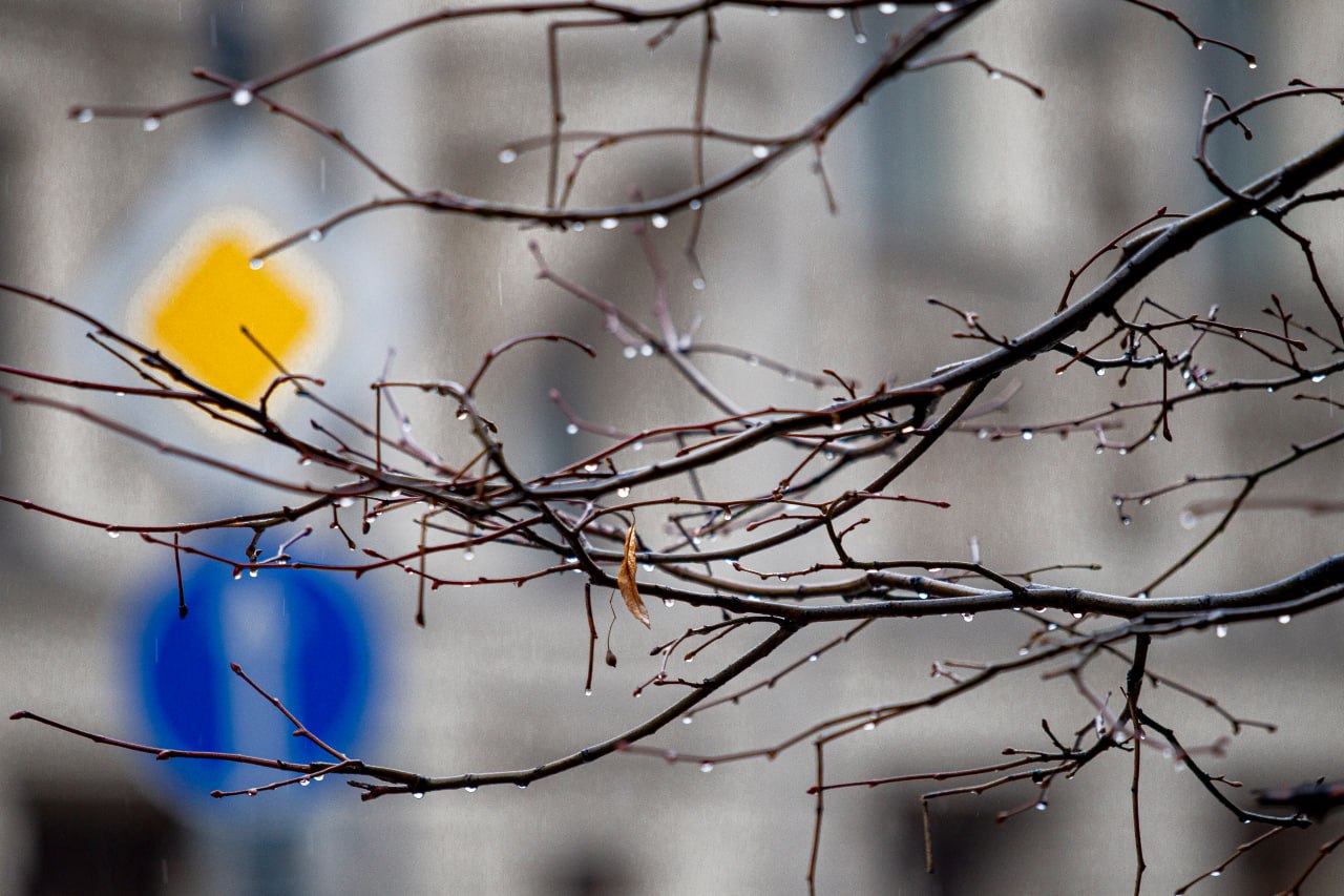 До конца недели москвичам не стоит ждать снега