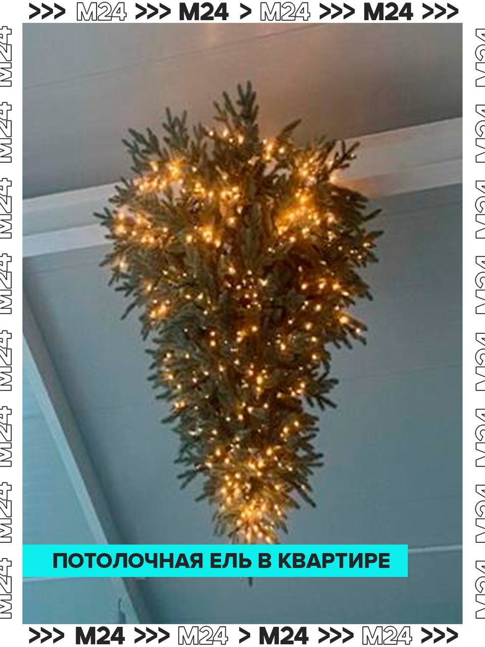 Компактные ёлки — тренд сезона Компактные ёлки — тренд сезона