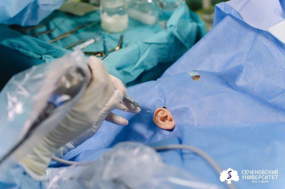 ������� � ������� ��������: ������ ������������ ����������� ���������� ��������� ����� ����� ����� �� 40 �����, ��������� ����������� ������ ��������