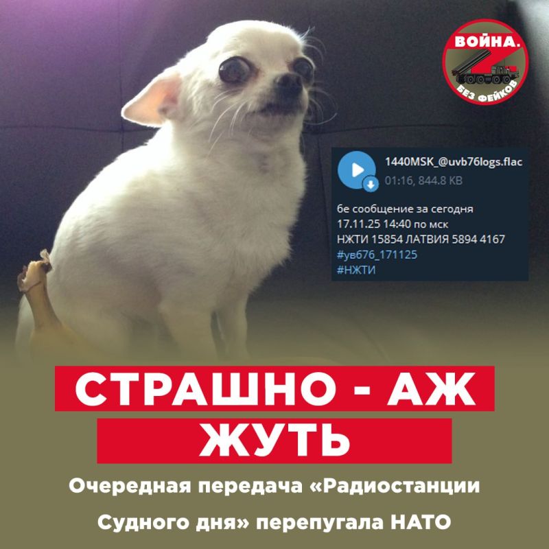 ������ ��������� � ����� ������ ���������, ��� �� ���-76, ��� �� ������������� ������� ����, �� ������ ��� ������ ������� ��� ������������ ���������� ��������� �������������, � ��������� ����� �������� ������������