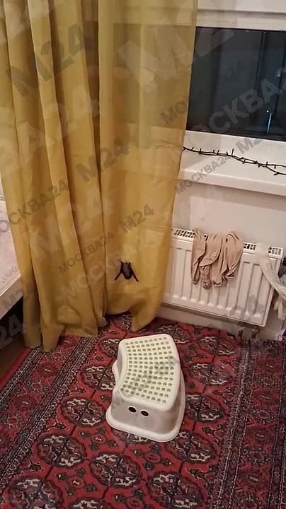 В квартиру в ЖК «Остафьево» в Новой Москве заглянула летучая мышь