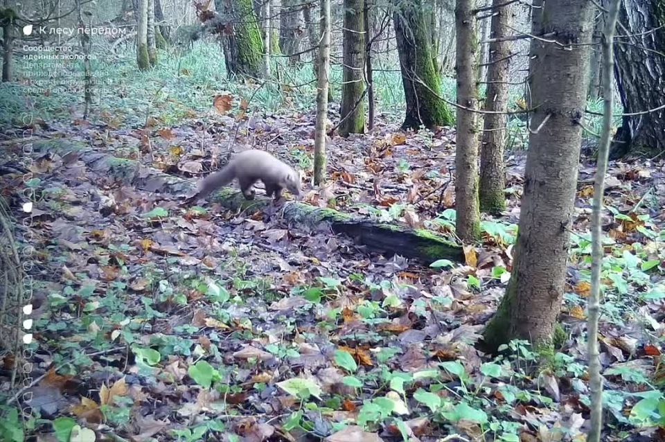   ,   ,    ,         !